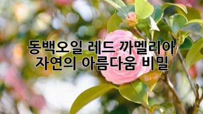 🌺 동백오일 레드 까멜리아: 자연의 아름다움 비밀 ✨