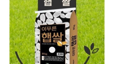 푸른가격 득템! 내돈내산 후기와 꿀팁 대방출 💖